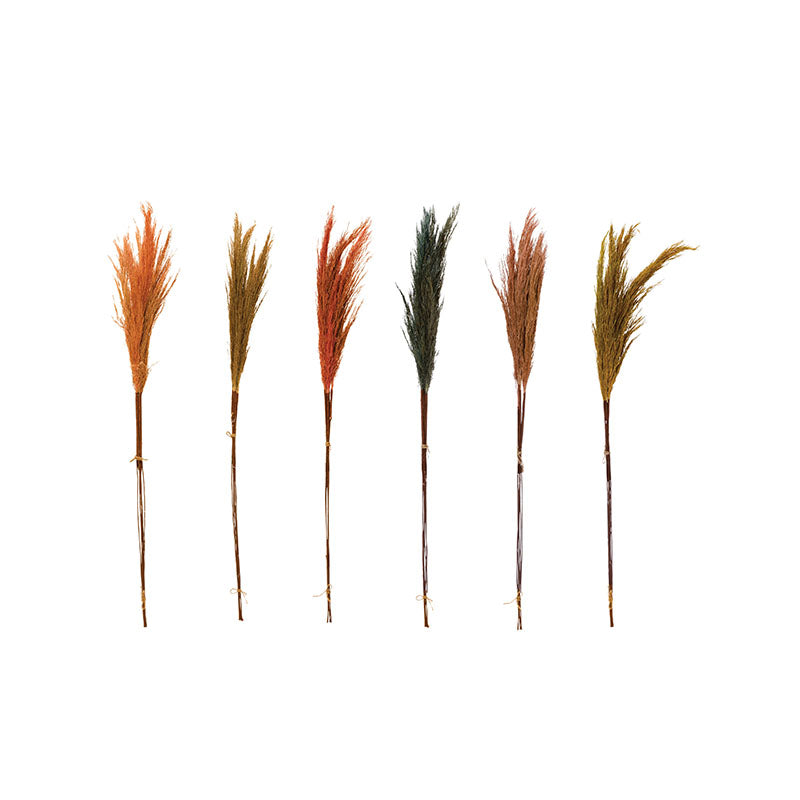 "29-1/2""H Dried Natural Pampas" - Disponible en Corinne Regalos