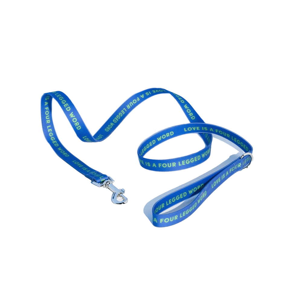SLICK LEAD - BLUE LARGE - Disponible en Corinne Regalos