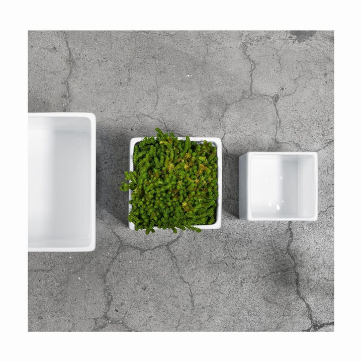 CUBO 28X28X28CM QUADRO