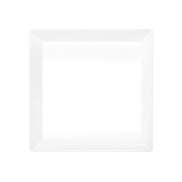 GRATIN DISH  SQUARE 23X23X6 CM 250 C PLUS