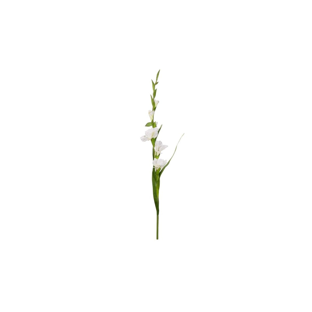 RAMA DE GLADIOLO BLANCO - ASA SELECTION - Compralo en CorinneRegalos.com
