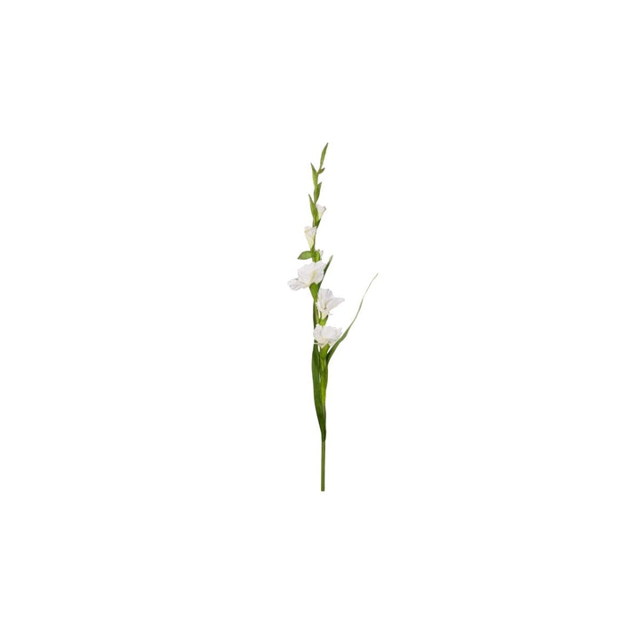 RAMA DE GLADIOLO BLANCO - ASA SELECTION - Compralo en CorinneRegalos.com