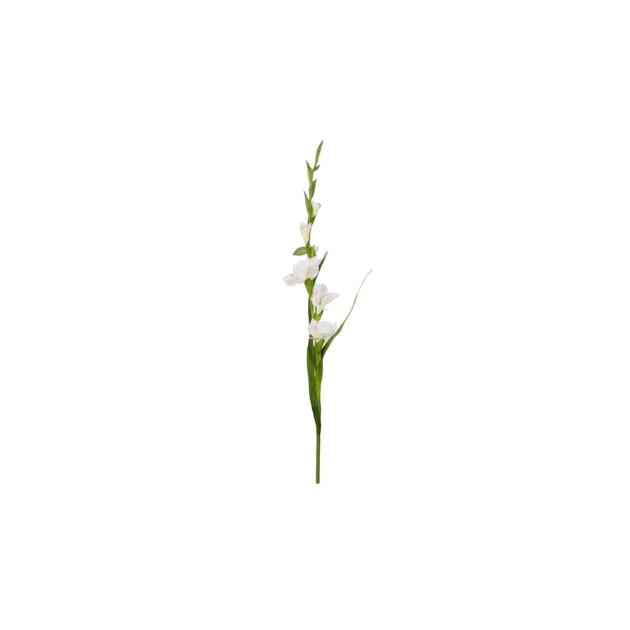 RAMA DE GLADIOLO BLANCO - ASA SELECTION - Compralo en CorinneRegalos.com