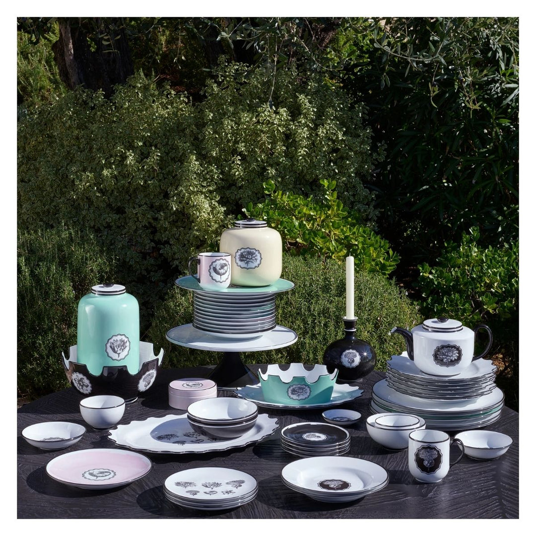 Plato de Sopa Herbariae