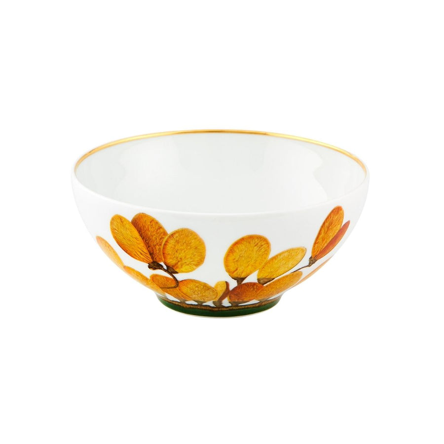 AMAZONIA TAZON DE CEREAL - VISTA ALEGRE - Compralo en CorinneRegalos.com