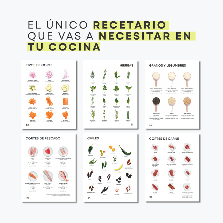 LIBRO BÁSICOS