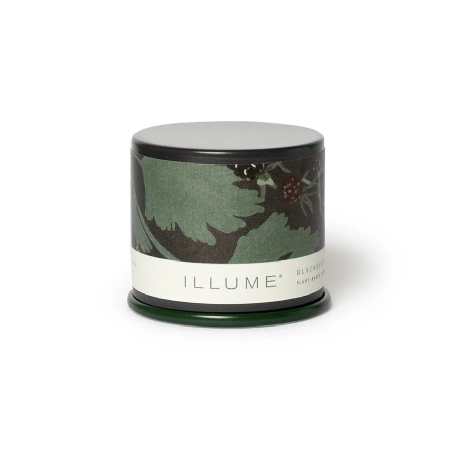 Blkbry Absinthe Demi Vnty Tin - CREATIVE COOP - Compralo en CorinneRegalos.com
