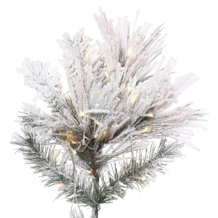 9' X 59 FLOCKED ATKA PINE 3MM 1500WW