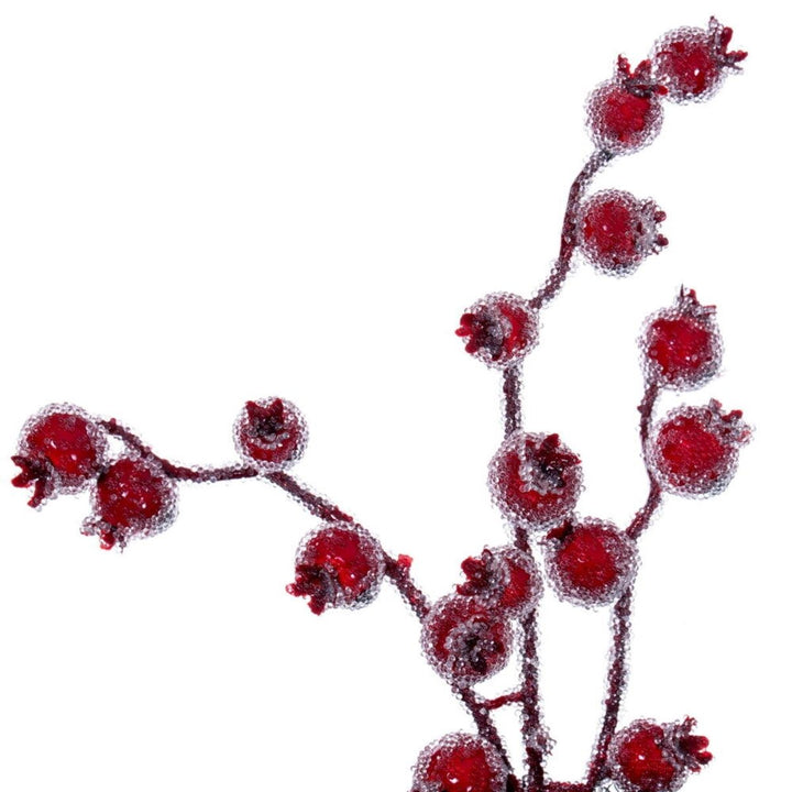 28  WINTER ICY RED BERRY WREATH