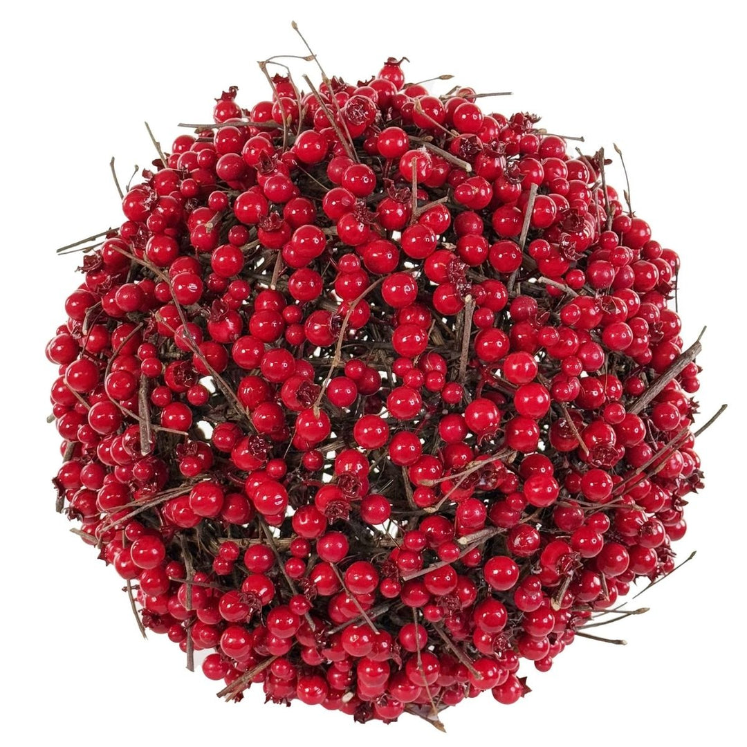 BERRY BALL RED 30CM - SHISHI - Compralo en CorinneRegalos.com
