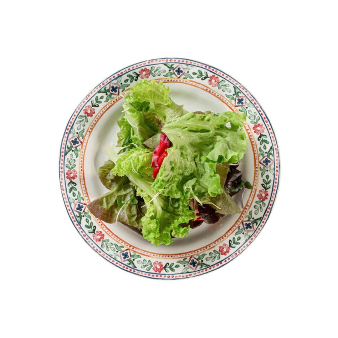 HEIDI DESSERT SALAD PLATE ­ MULTI