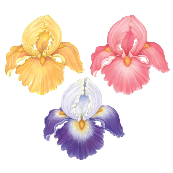 DIE-CUT IRIS PLACEMAT - 12 SHEETS - HESTER & COOK - Compralo en CorinneRegalos.com