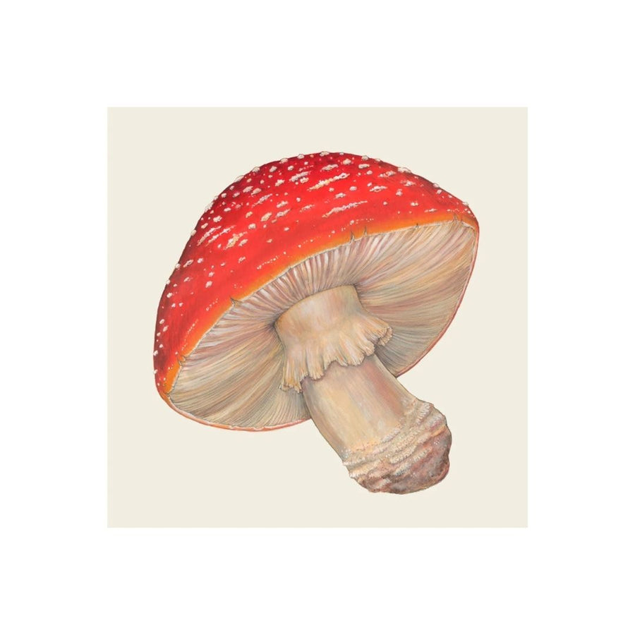 MUSHROOM COCKTAIL NAPKIN  PACK OF 20 - HESTER & COOK - Compralo en CorinneRegalos.com