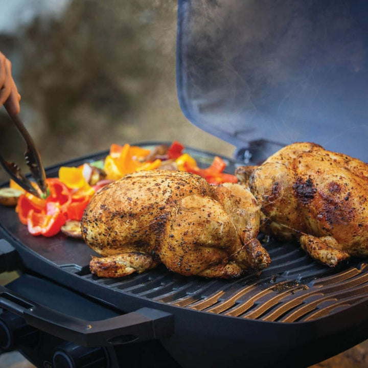 TRAVELQ 285 PORTABLE PROPANE GAS GRILL BLUE