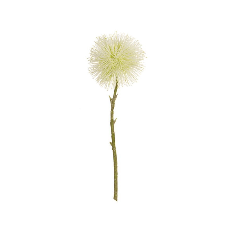 Pomponlarge white Miquel Linden l. 40 cm  d 15 cm - Disponible en Corinne Regalos
