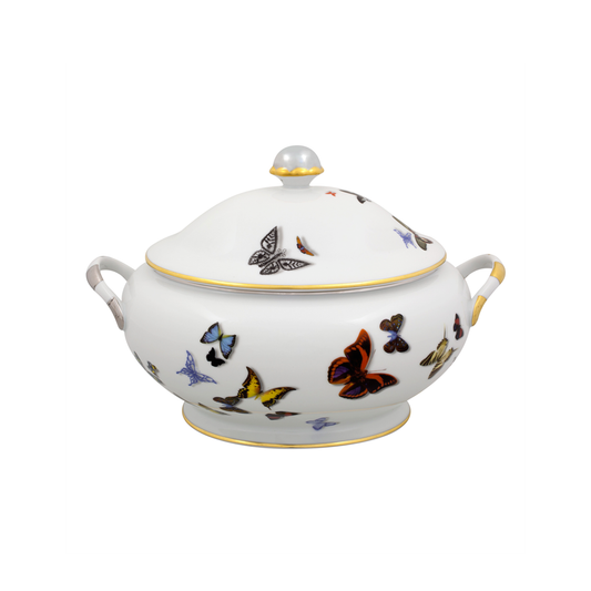 SOPERA LACROIX BUTTERFLY - Disponible en Corinne Regalos