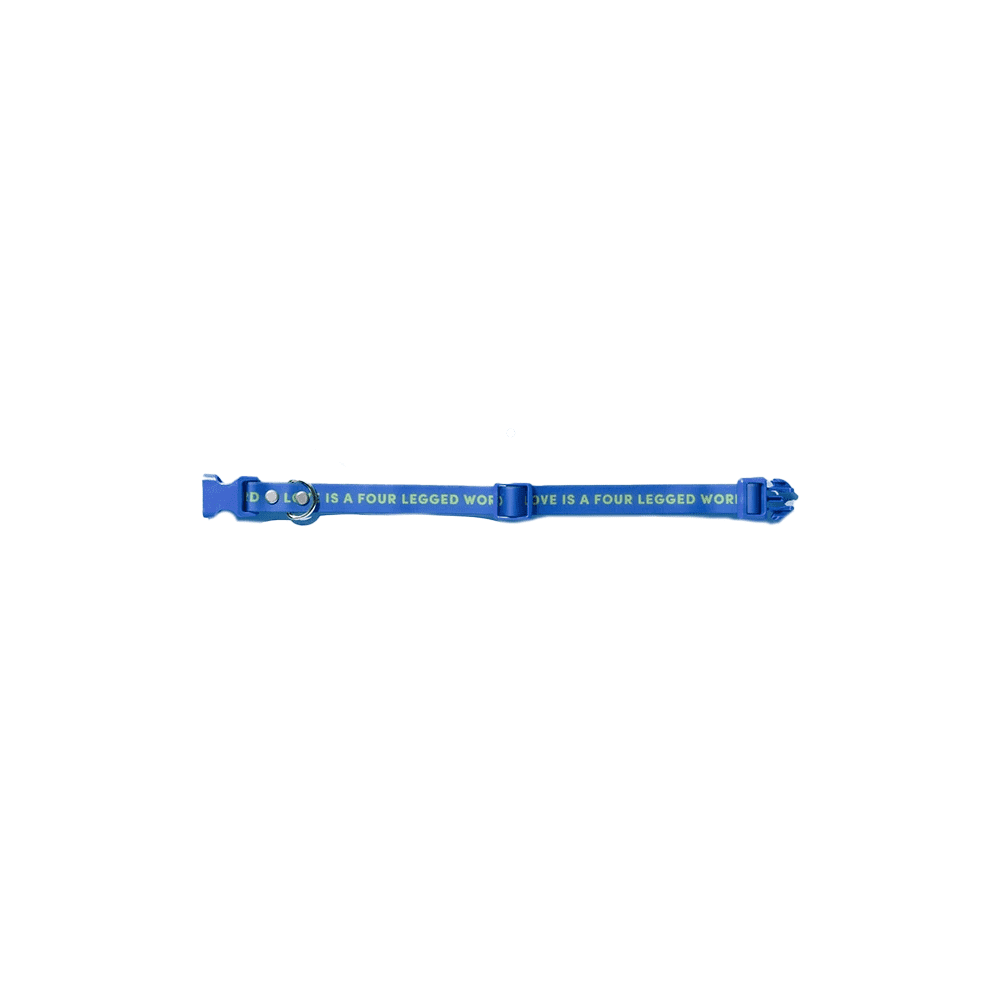 SLICK COLLAR - BLUE LARGE - Disponible en Corinne Regalos